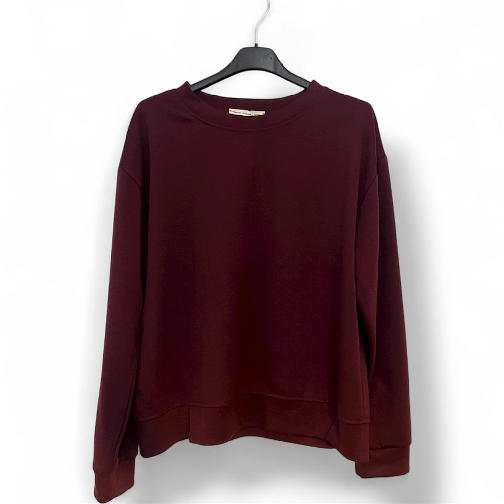 Sudadera lisa conjunto jogger